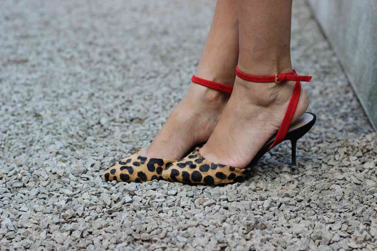 Pantofii kitten