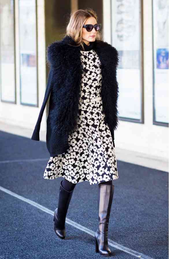 OCHELARI DE SOARE PISICA 2