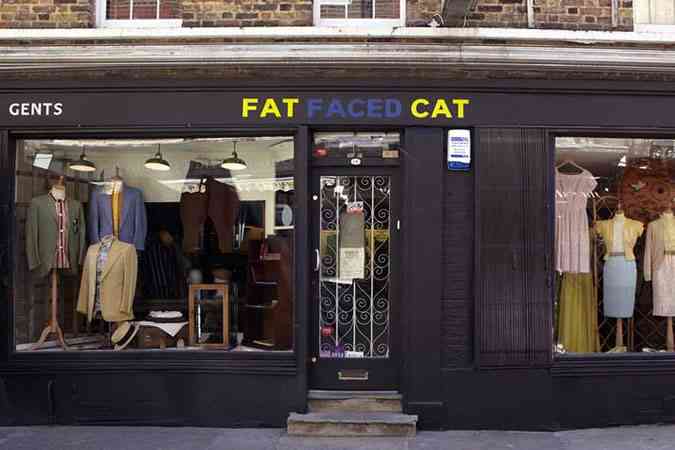 fat faced cat