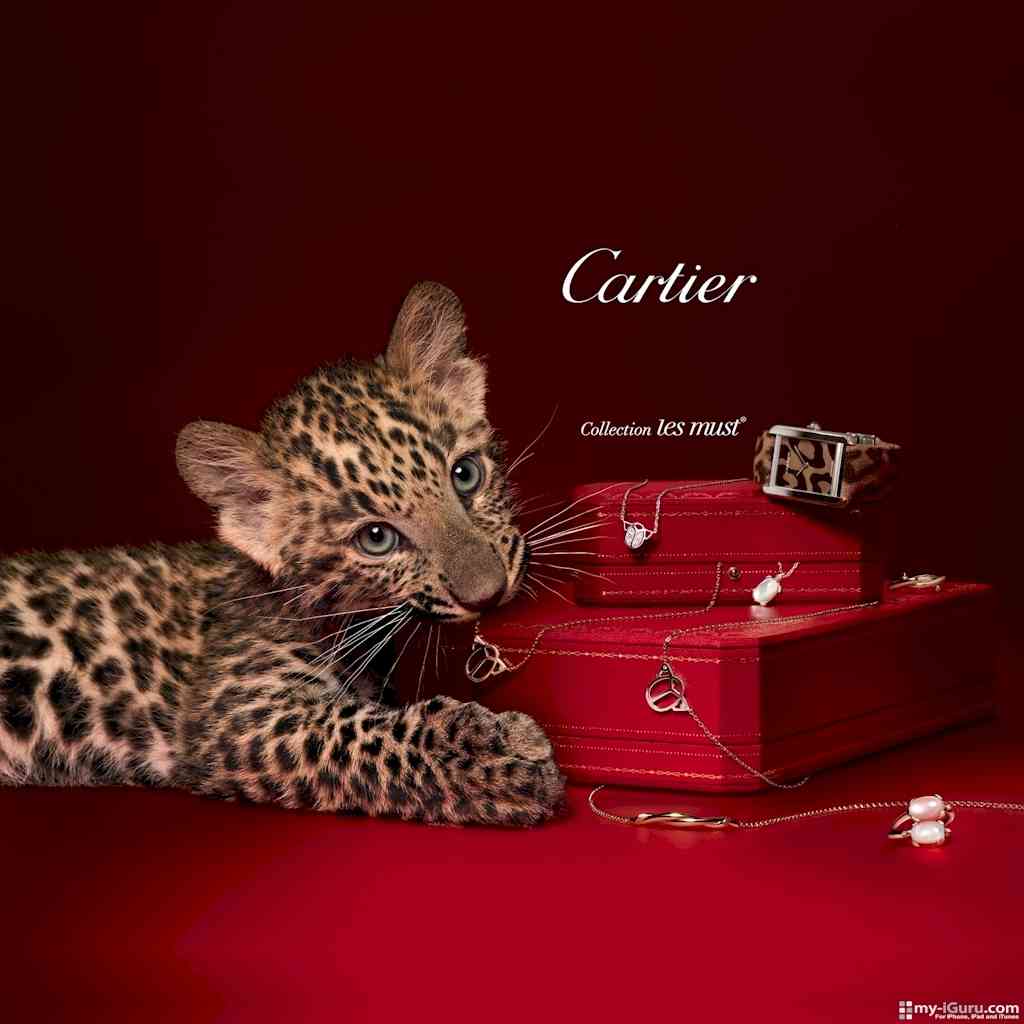 cartier bijuterii