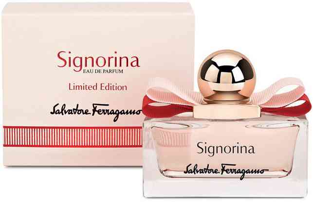 signorina edp