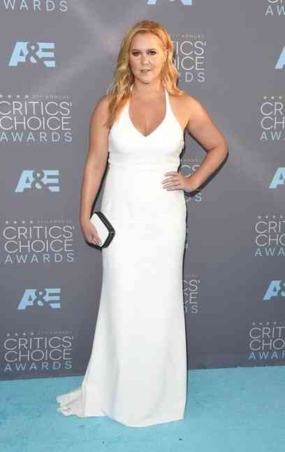 slip dress amy  schumer