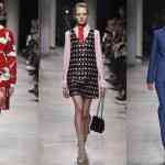 tendinte Paul & Joe 2016