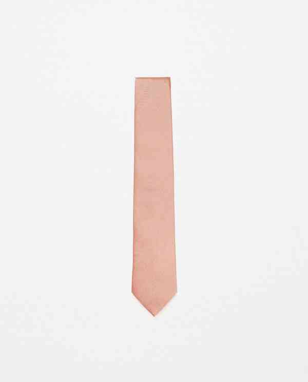 cravate somon zara 2016