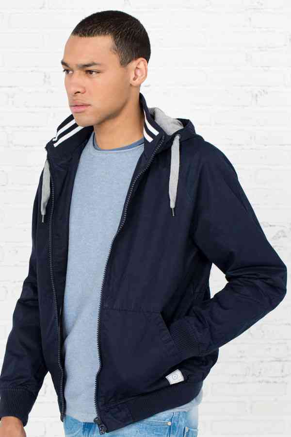 jacheta springfield 2016