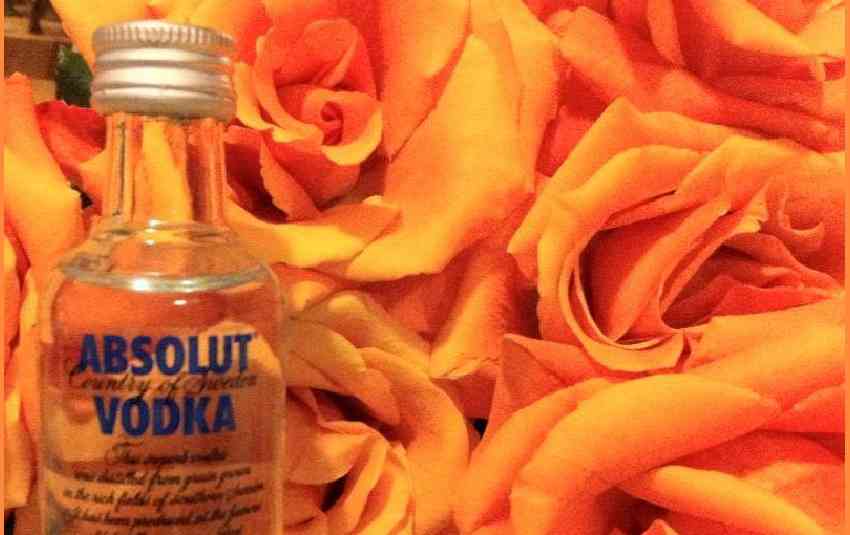 parfumuri vodca+flori