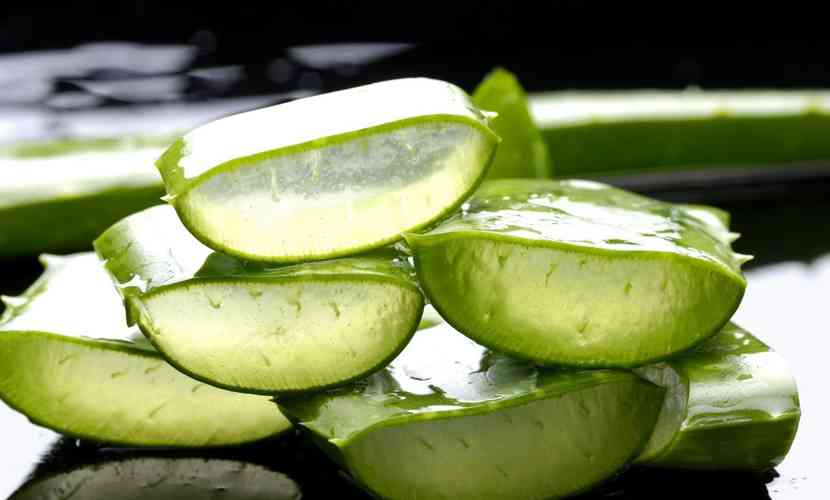 aloe-vera-buze-crapate