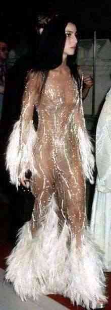 cher-cu-naked-dress