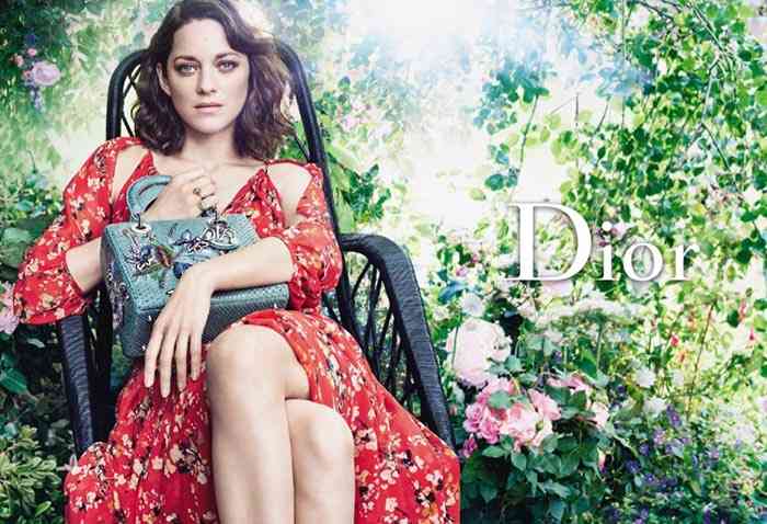 coelctia-lady-dior