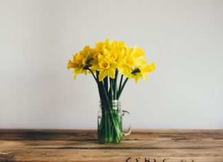 106 Citate Despre Primavara care sa te inspire in fiecare zi