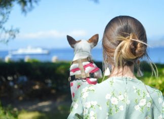 Cum sa faci un updo simplu pas cu pas