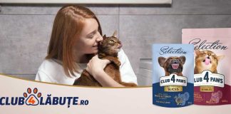 Lansare Magazin Online Club4Labute.ro – Mâncare câini și pisici