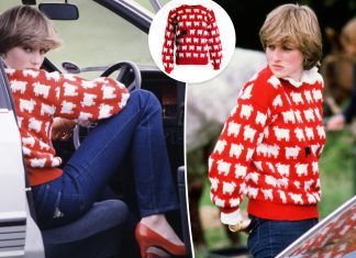 De ce puloverul Printesei Diana s-a vandut cu peste un milion de dolari?